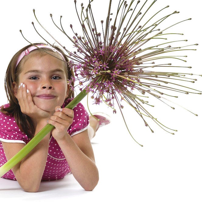 Stranger Than Fiction Flower Bulb Collection - Image 10