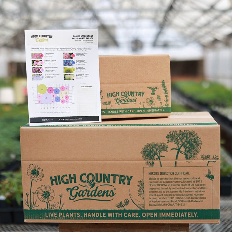 August Afternoons Pre-Planned Garden - Image 4