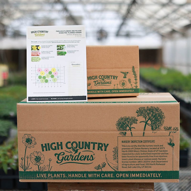 Fabulous Flowers & Foliage Shade Pre-Planned Garden - Image 4