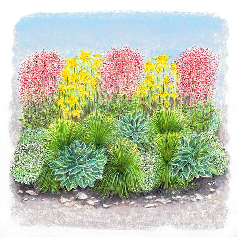 Fabulous Flowers & Foliage Shade Pre-Planned Garden - Image 5