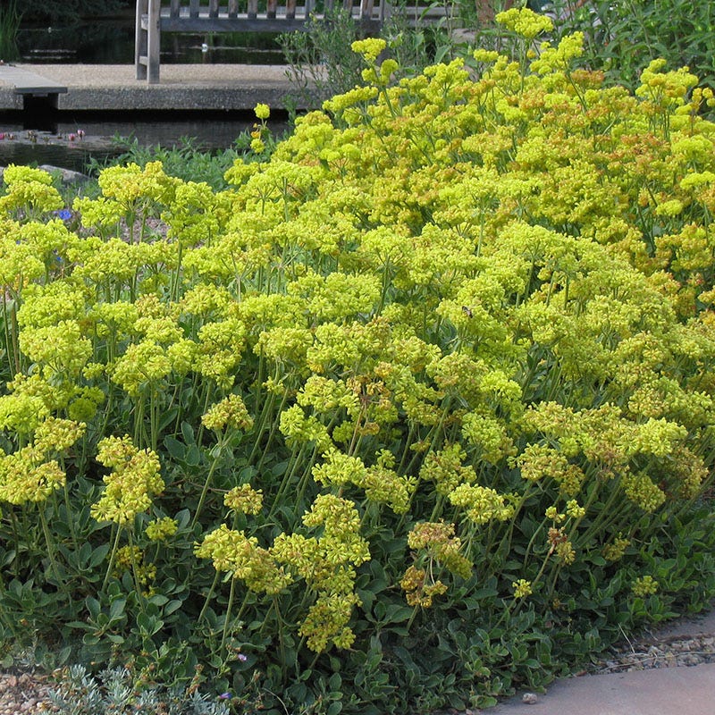 HOA Friendly Collection - Image 5