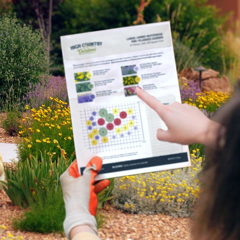 Native Pacific Northwest Songbird Pre-Planned Garden - Image 3