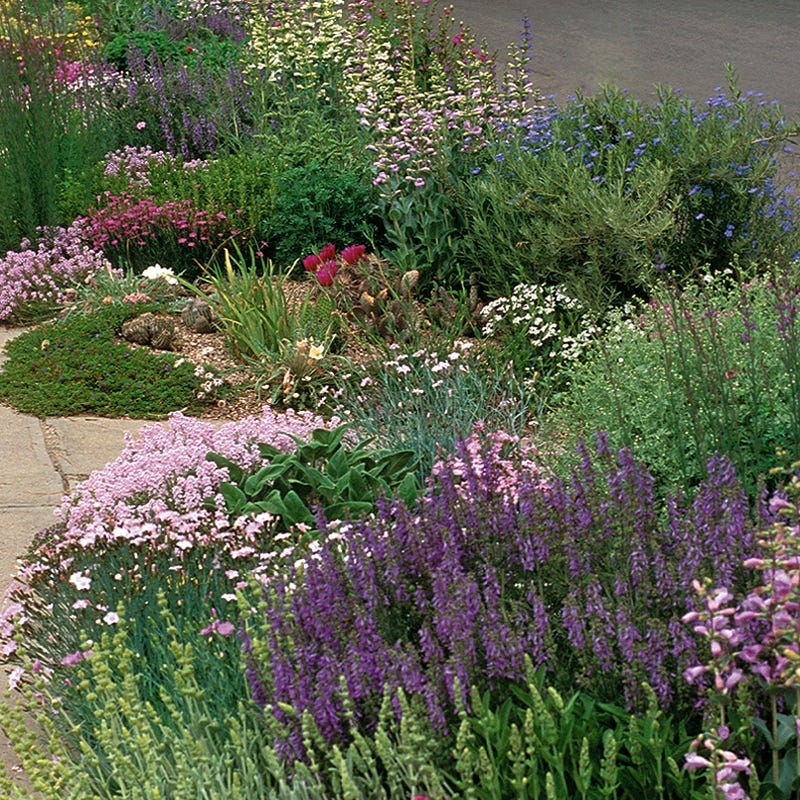 Soft Colors Inferno Strip Pre-Planned Garden - Image 4