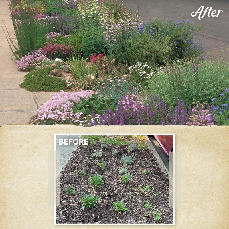 Large Soft Colors Inferno Strip Pre-Planned Garden - Image 2