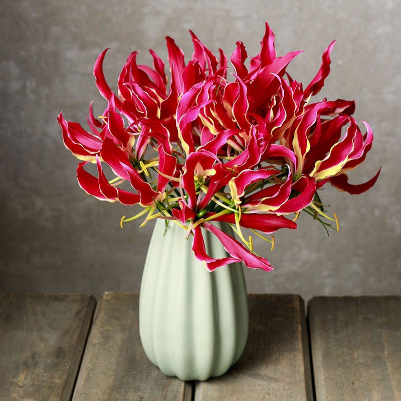 Gloriosa Lily - Image 5